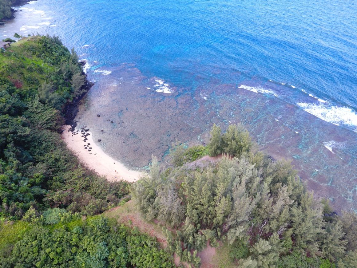 Kauai Vacation Rentals Sea Lodge Beach Kauai