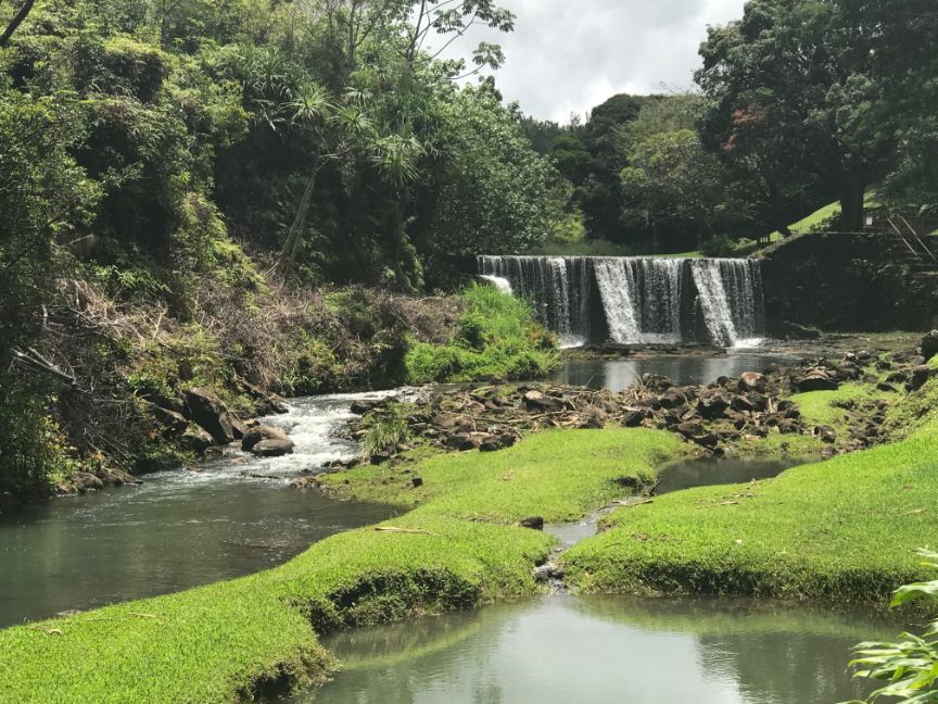 Kauai Hiking Adventures: Stone Dam Waterfall Hike